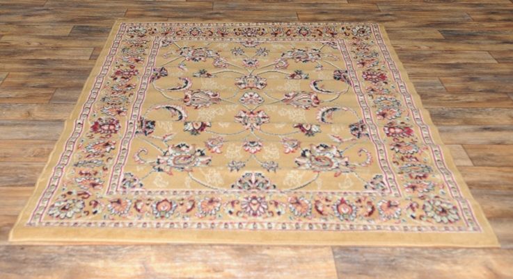 Persian Dark Beige 82x910 Area Rug Carpet (AREA SIZE 8X10) FREE 