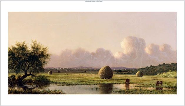 Martin Johnson Heade (1819 1904)