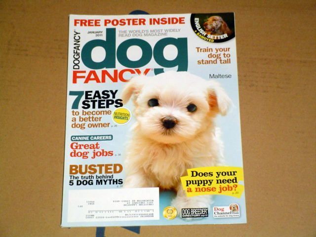 Dog Fancy Jan 2011 Maltese English Setter Samoyed  