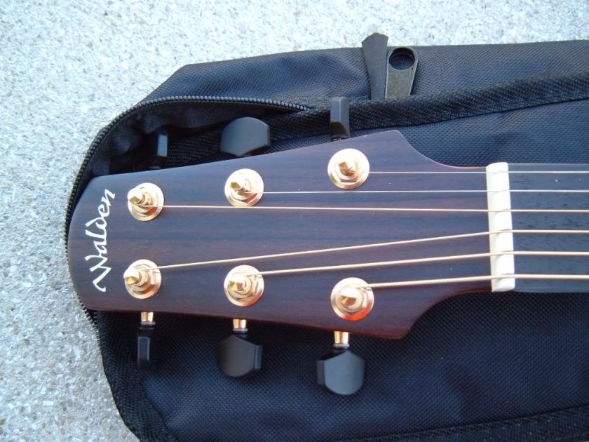 Walden D740 Acoustic Guitar and Waldn Gig Bag  