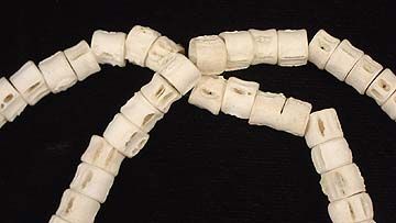 Fish Beads Vertebrae African Long Strand White  