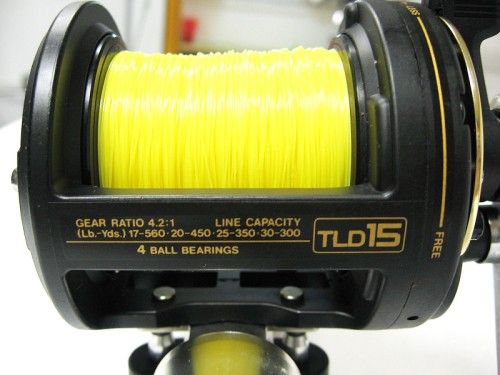 Shimano TLD 15 / TLD15 Fishing Reel w/ Penn Senator Stand Up Rod 