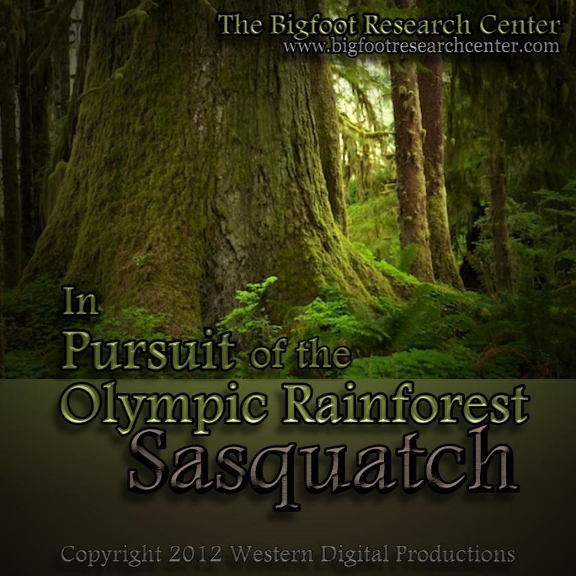 Does Washington states Olympic Rainforest conceal an unknown primate 