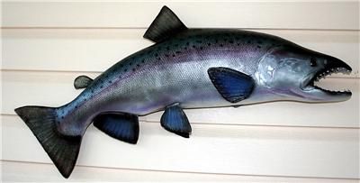 NEW XXL Steelhead Rainbow Trout Replica MOUNT 36 inch  