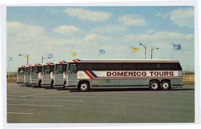 BAYONNE NJ n Elizabeth Domenico Tour Buses postcard  