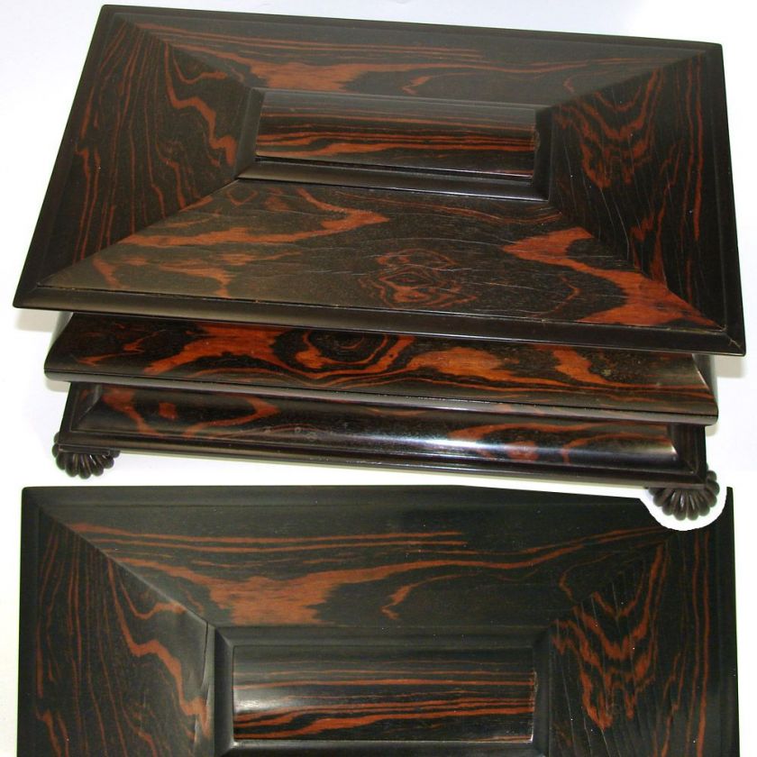 Fab Antique Victorian Tiger or Rosewood 15 Double Well Tea Chest, Tea 