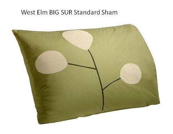 NEW West Elm BIG SUR Duvet/Euro or Std Shams ~KING NIP  