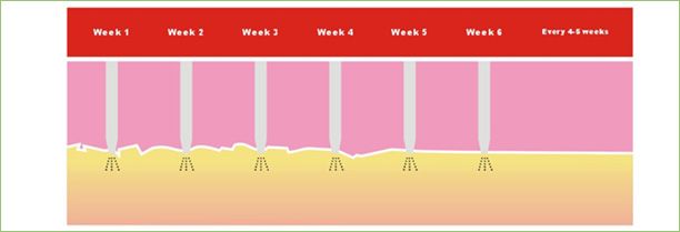 Analysis chart for steady courses within six weeks