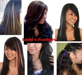 Feather Skinny Long Grizzly Salon Hair Extension Set  