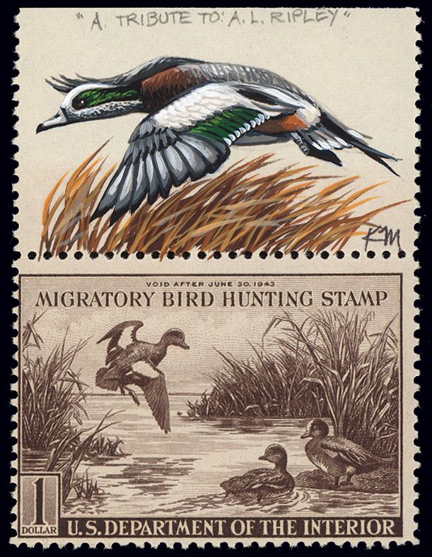 RW9   1942 Federal Duck Stamp Remarque  