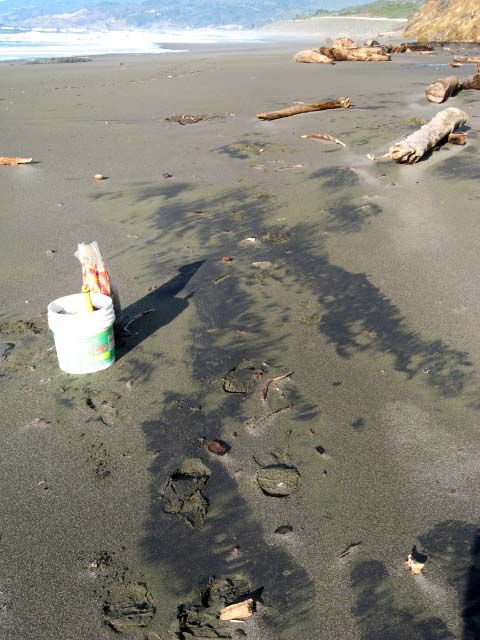 BLACK SAND~OREGON BEACH GOLD~RICH PAYDIRT~sluice~gold pan~prospecting 