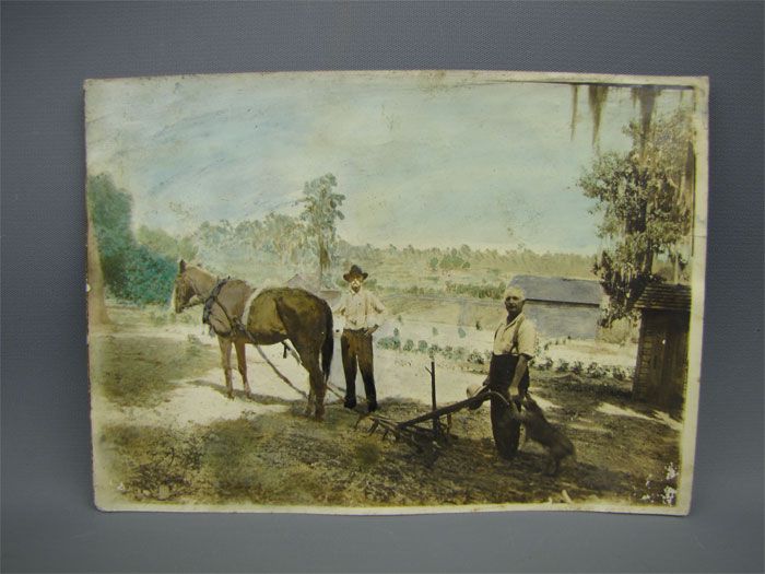 Antique Photograph Tinted Painted Horse Drawn Plow  