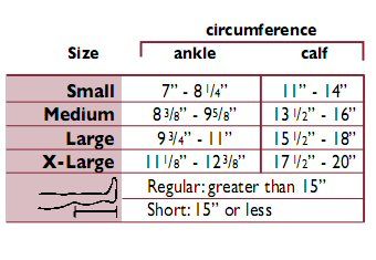 ankle widest flare of the calf and leg length from heel at the floor 