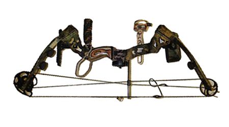 Hoyt Banshee Bow  