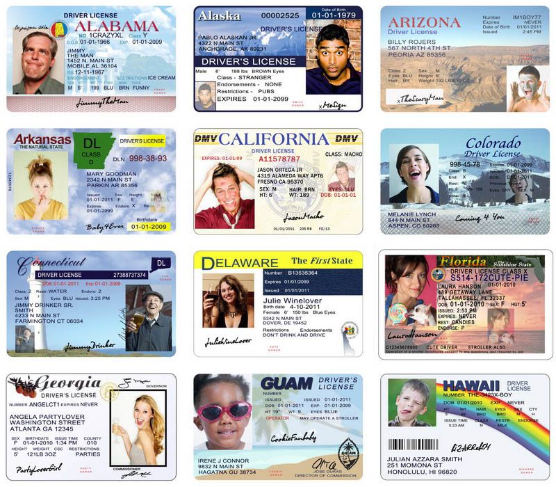 DRIVER LICENSE TEMPLATES FUN CARDS INVITATIONS PSD  