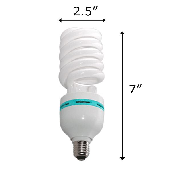 Light Bulbs for Photo Studio Lights, Lighting, 35PB1 847263084879 