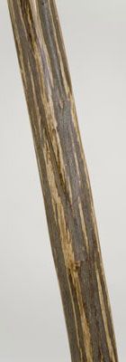 Free Form Iron Wood Walking Stick  